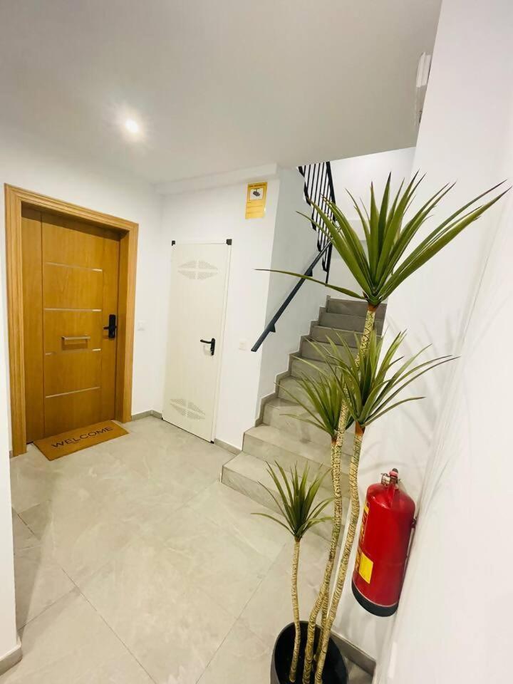 Ohana Home 1 Málaga Dış mekan fotoğraf